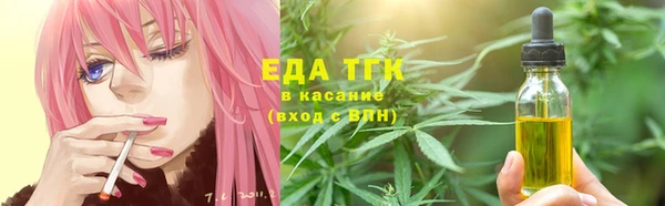 гашик Вязьма