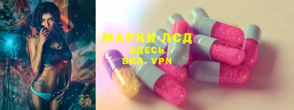 гашик Вязьма