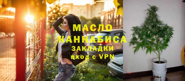 гашик Вязьма