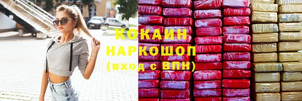 гашик Вязьма