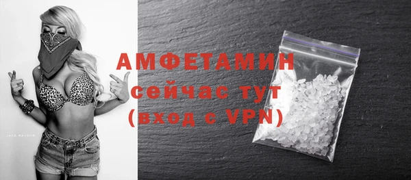 гашик Вязьма