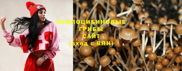 ALPHA-PVP Вязники