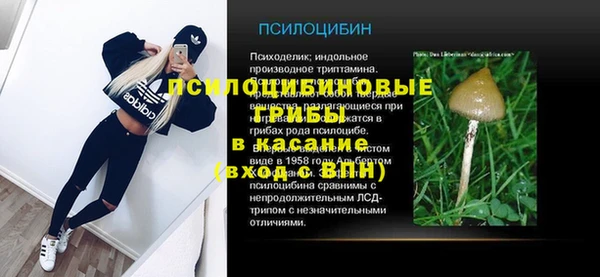 гашик Вязьма